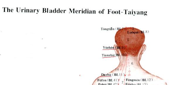 Slika 1 urinary bladder meridian